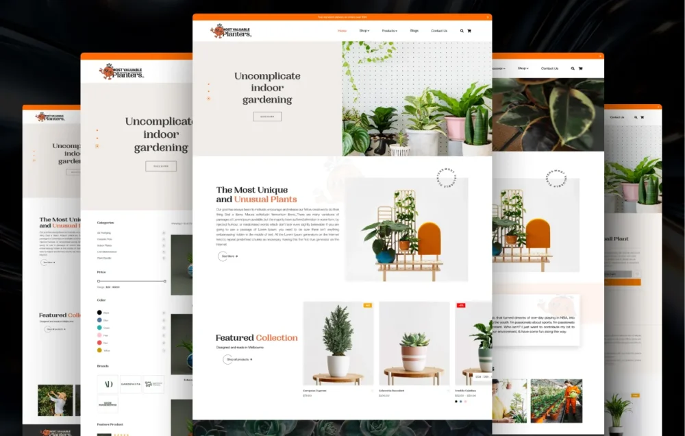 Web 02