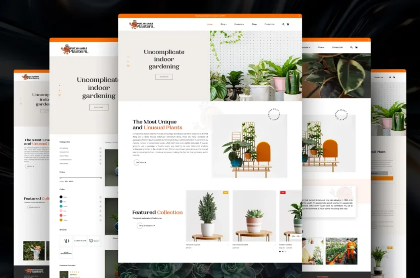 Web 02
